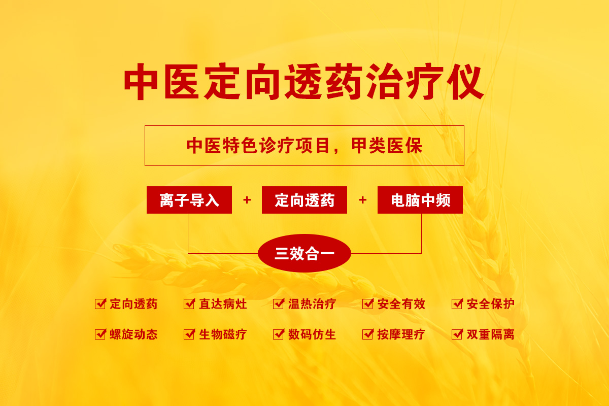 中医定向透药治疗仪
